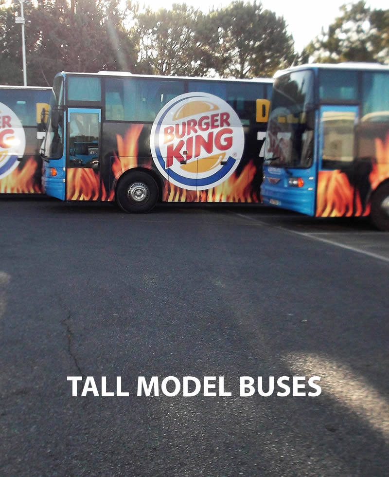Tall Model Buses